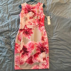 Calvin Klein dress - never worn! Tags attached.